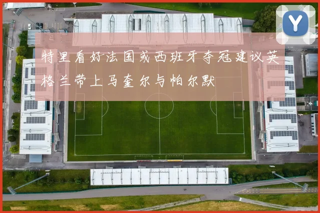特里看好法国或西班牙夺冠建议英格兰带上马奎尔与帕尔默