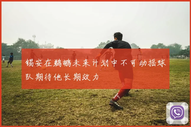 锡安在鹈鹕未来计划中不可动摇球队期待他长期效力